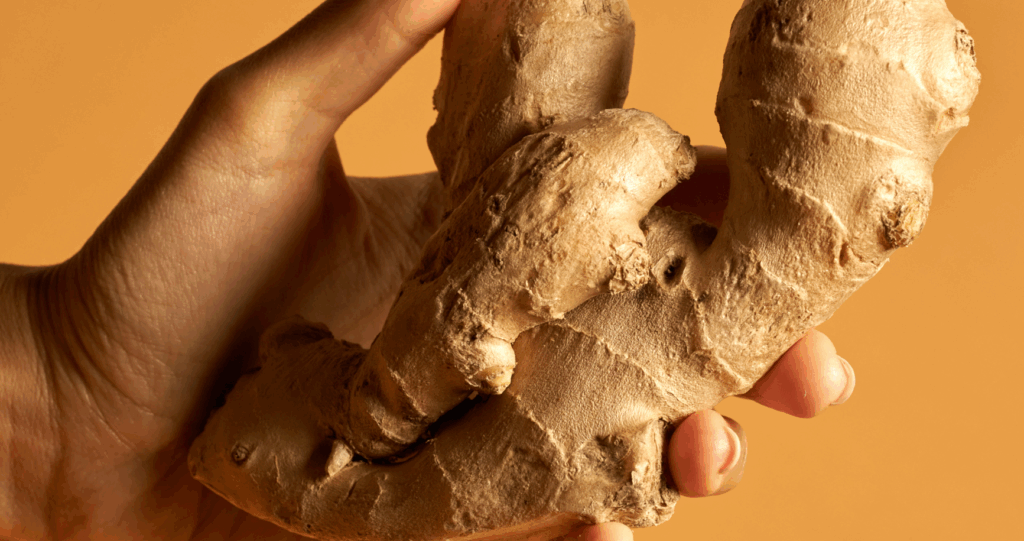 Ginger apomorphine-related nausea-parkinson