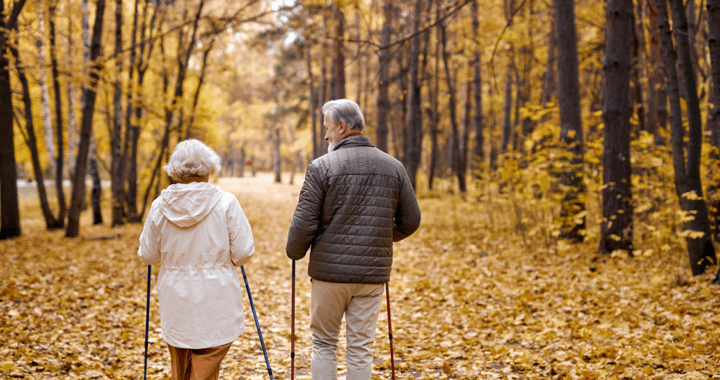 Couple is going for nordic walking in the woods.